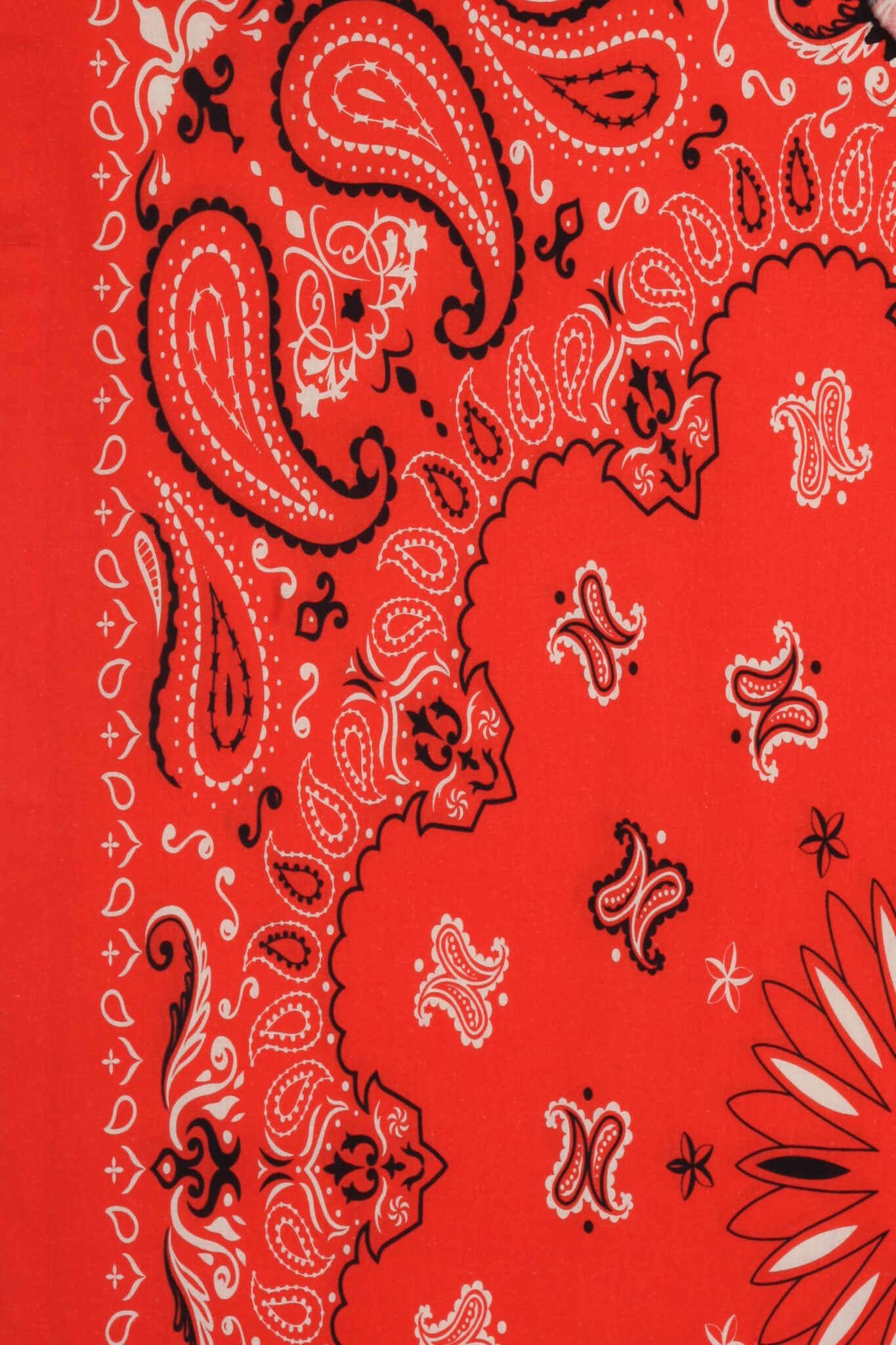 Bandana No. 6